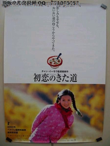 马斯特里赫特戏剧艺术学院 Art diplom